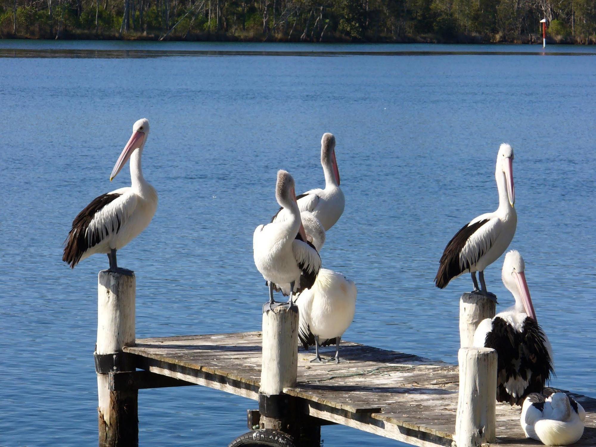Huskisson Beach Motel Luaran gambar